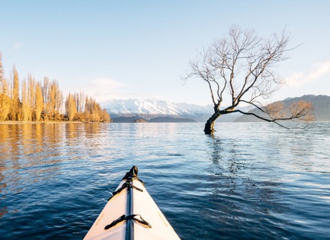 Lake Wanaka Kayak That Wanaka Tree